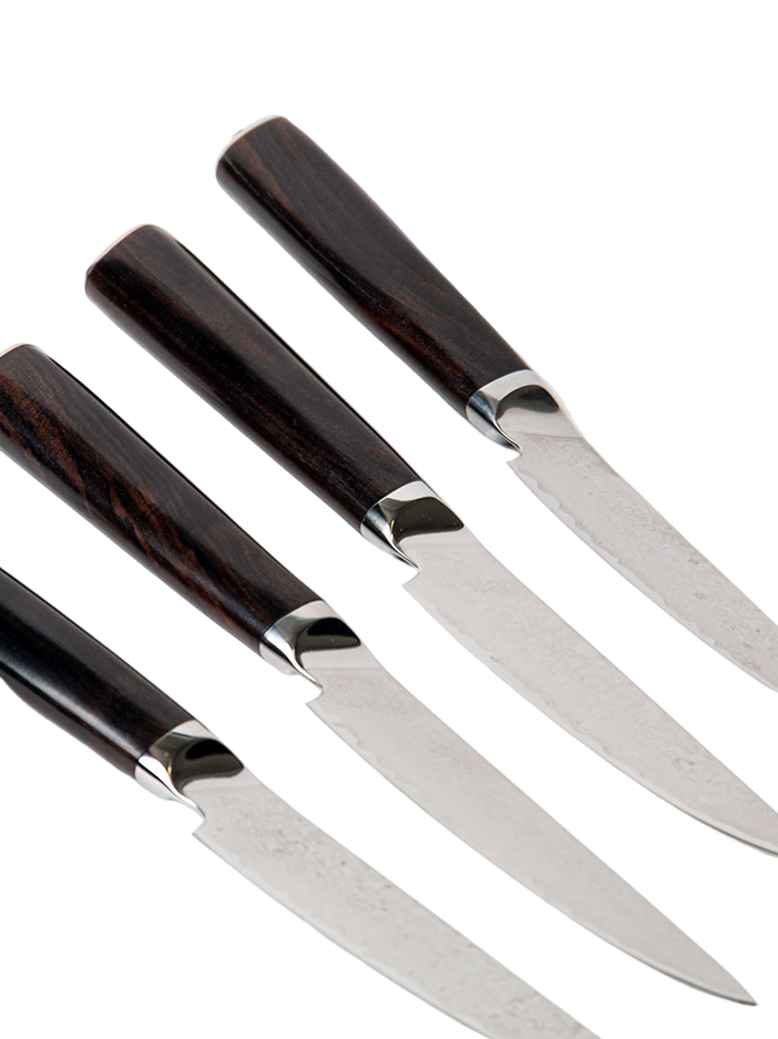 Dark Academia Steak Knives Set of 4